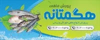 تصویر 2