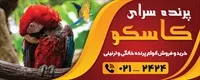 تصویر 2