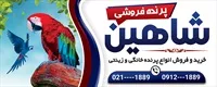 تصویر 2
