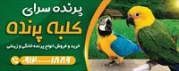 تصویر 2