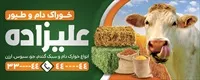 تصویر 2