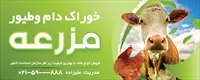 تصویر 2