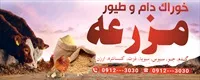 تصویر 2