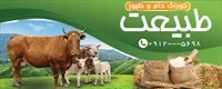 تصویر 2