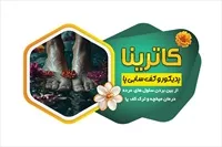 تصویر 3