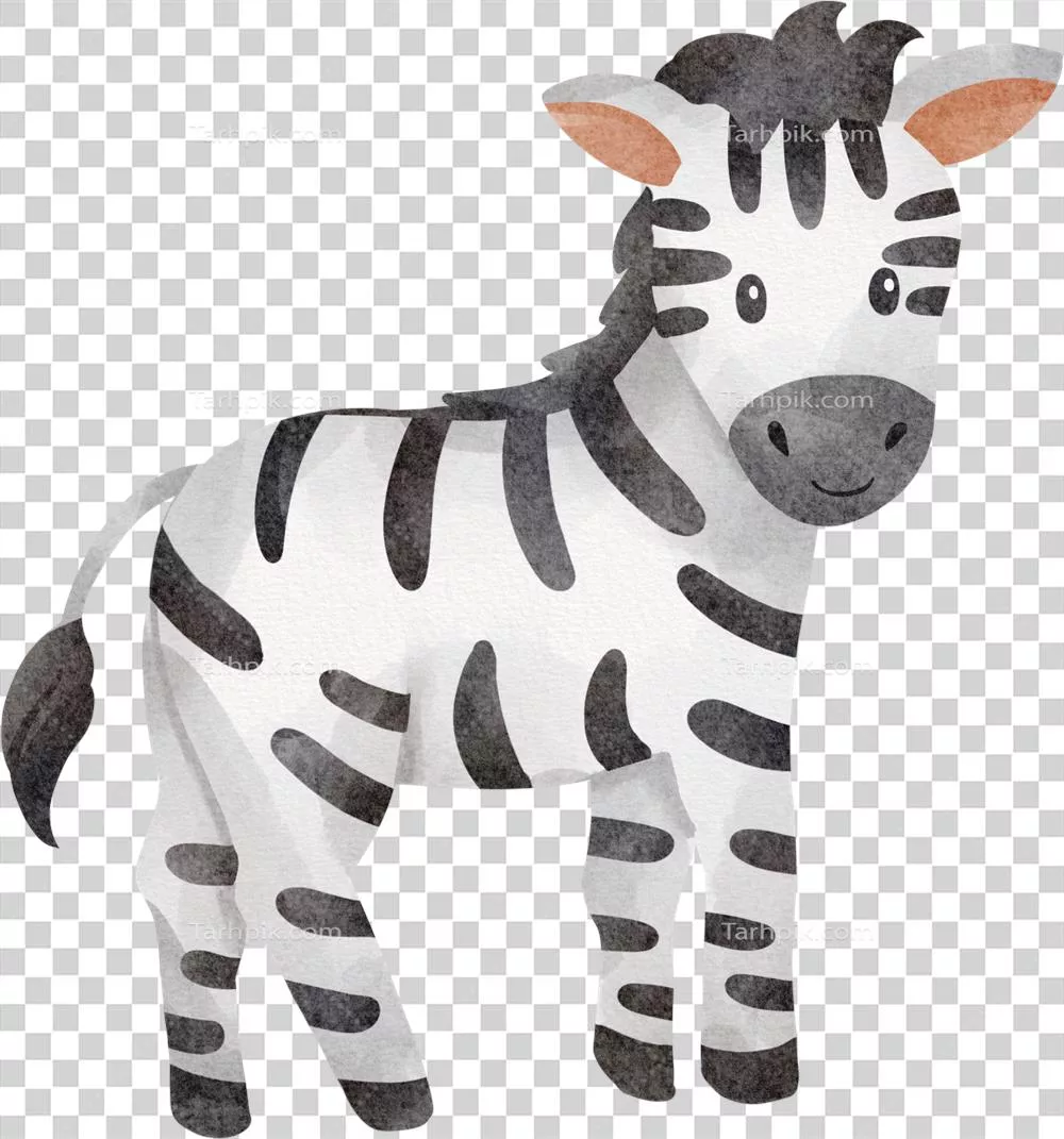 عکس دوربری آب‌رنگ زبراهای ناز و زیبا: تشخیص زیبایی خلقت در طبیعت