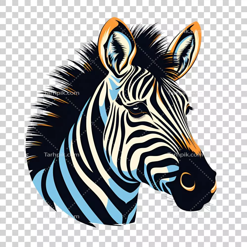 عکس دوربری تصویر زیبا و شگفت‌انگیز زبرا به سبک کارتونی برای چاپ بر روی محصولات سفارش‌محور