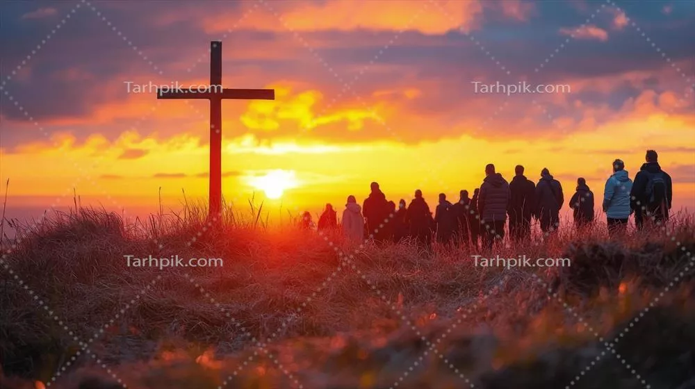 عکس جشن عشق: نور طلایی غروب بر مراسم ازدواج در جنگل آرام می‌تابد