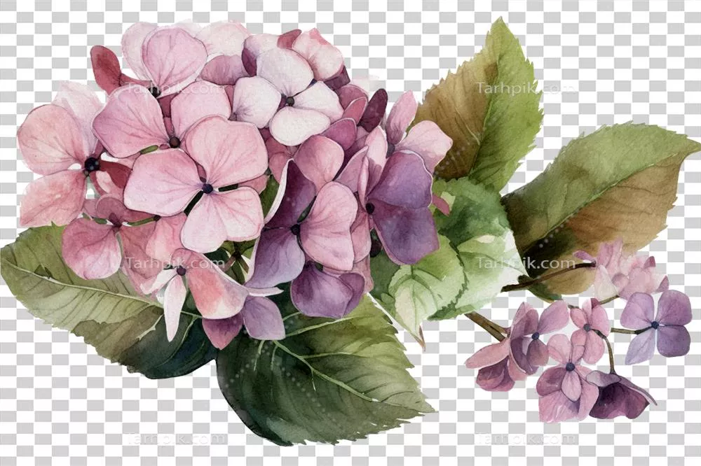 عکس دوربری گل زیبا با برگ به صورت آب رنگی تولید شده با هوش مصنوعی