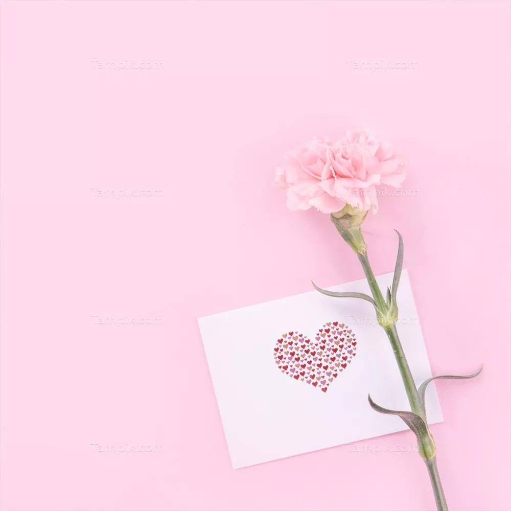 عکس با دسته گل زیبای میخک تازه و شیک با کارت تبریک سپاسگزاری بر روی پس‌زمینه صورتی روشن