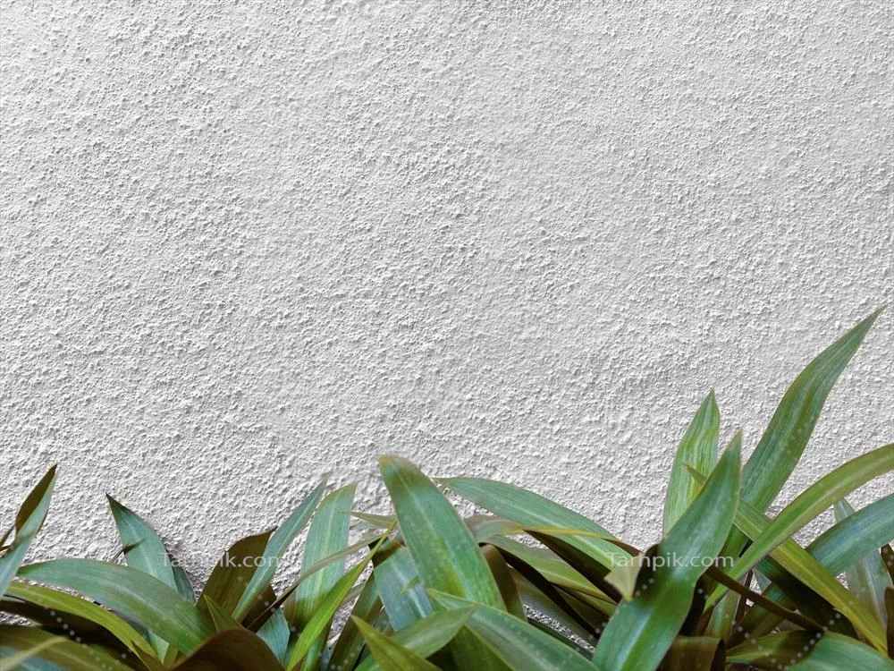 عکس متن دیواری با بافت یکنواخت سیمانی و سطح زبر، با برگ‌های تزئینی در زیر و فضایی برای متن