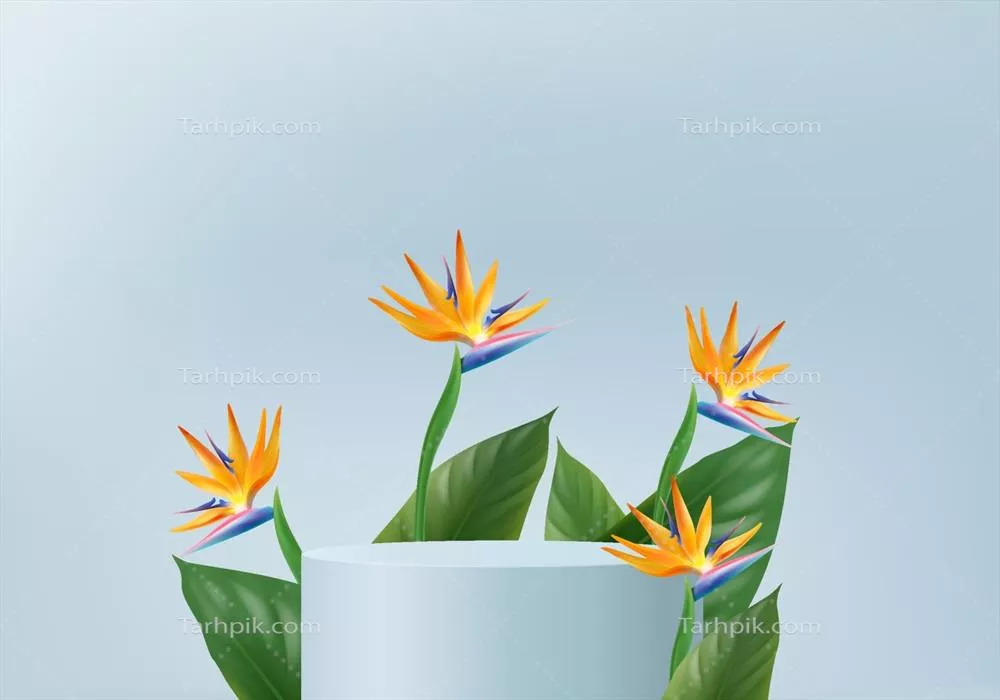 وکتور رندر سه بعدی نخل آبی برای پسزمینه گرمسیری تابستانه و محصولات مرتبط