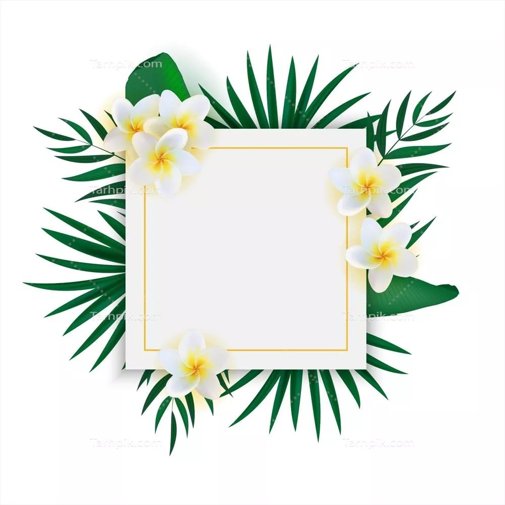 وکتور پسزمینه انتزاعی طبیعی و خالی استوایی و عجیب برای تبلیغات و فروش پوسترها و کارتها