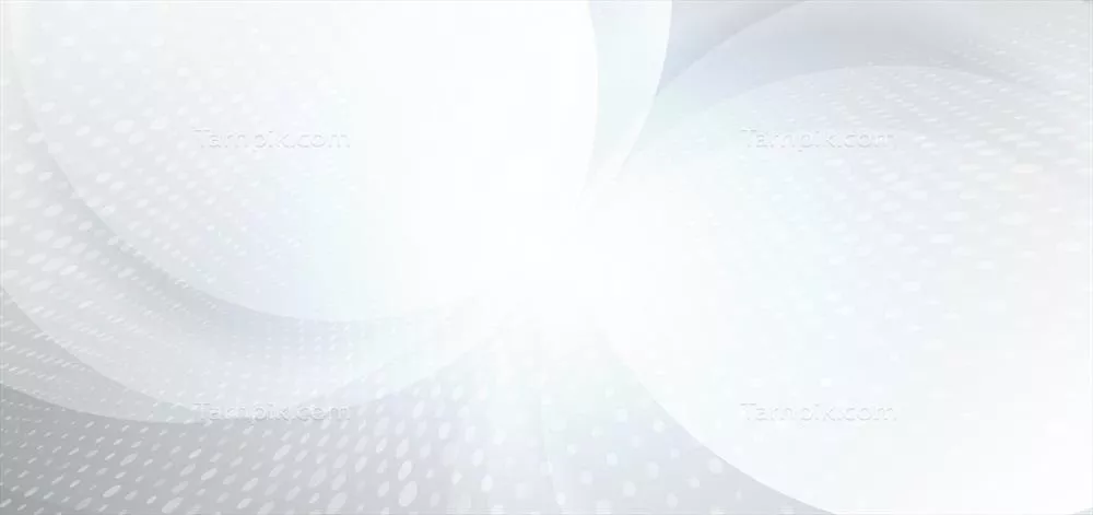 وکتور پس‌زمینه انتزاعی خاکستری و سفیدی با منحنی و مفهوم فناوری پویا