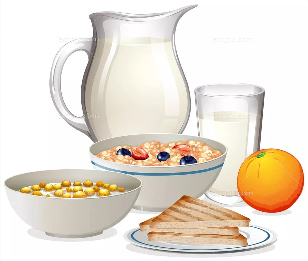 وکتور تصویری زیبا از صبحانه سالم بر روی پسزمینه سفید