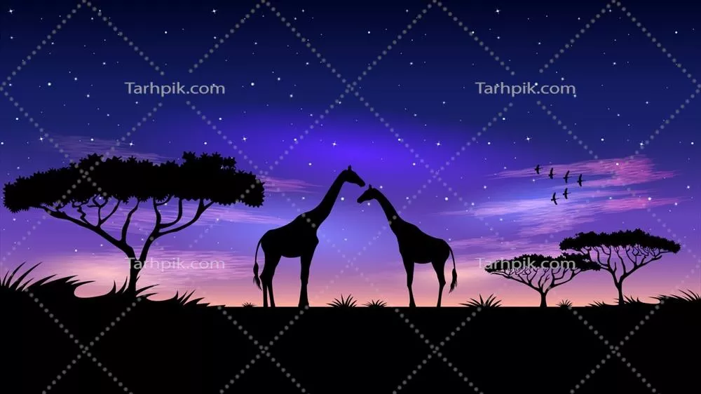 وکتور آسمان ستارهای بر فراز قاره آفریقا در شب زیبای تاریک