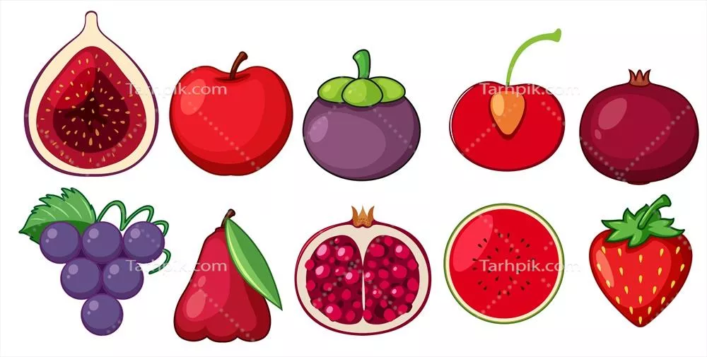 وکتور تصویری از مجموعه ای از میوه های تازه و خوشمزه برای هنر و طراحی