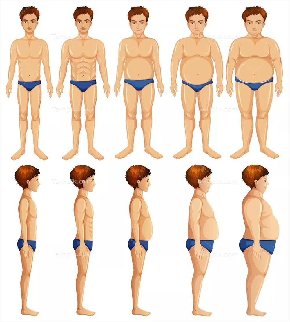 وکتور مجموعهای از تصاویر تبدیل بدن انسان با تمرکز بر روی تغییرات فیزیکی