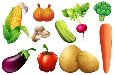 وکتور مجموعهای از تصاویر سبزیجات ارگانیک با طراحی زیبا و جذاب