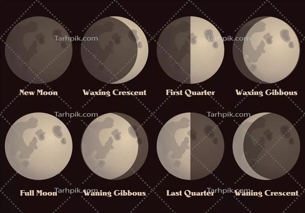 وکتور مجموعه برداری از فازهای ماه برای آموزش، گرافیک و طراحی قابل چاپ و الکترونیکی