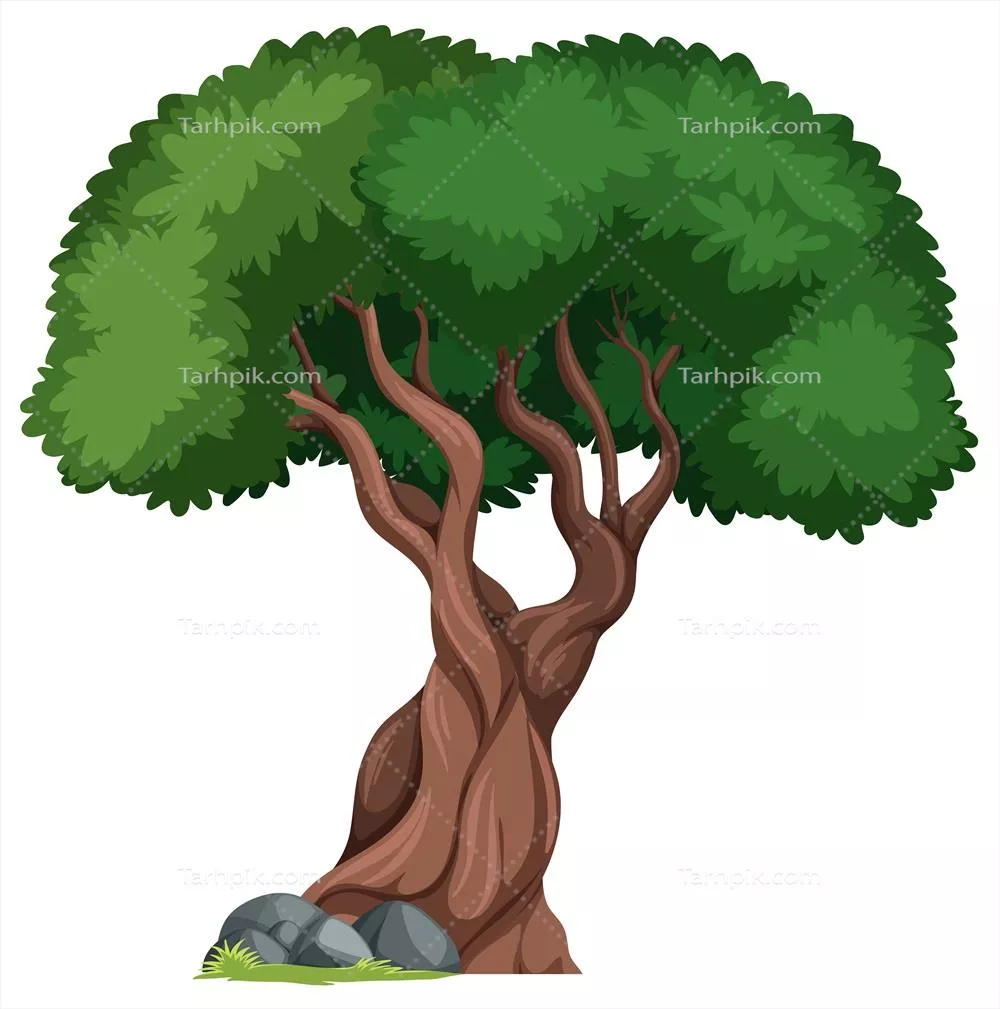 وکتور تصویرسازی درخت انزوا در پسزمینه طبیعی و زیبا