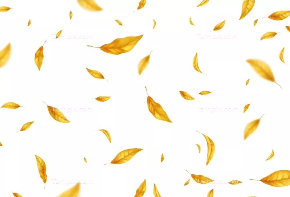 برگه‌های زرد پاییزی در هوا به صورت وکتور