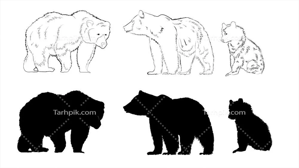 وکتور جلوه سیاه و سفید خرس در حالت سکوت و رازآلود