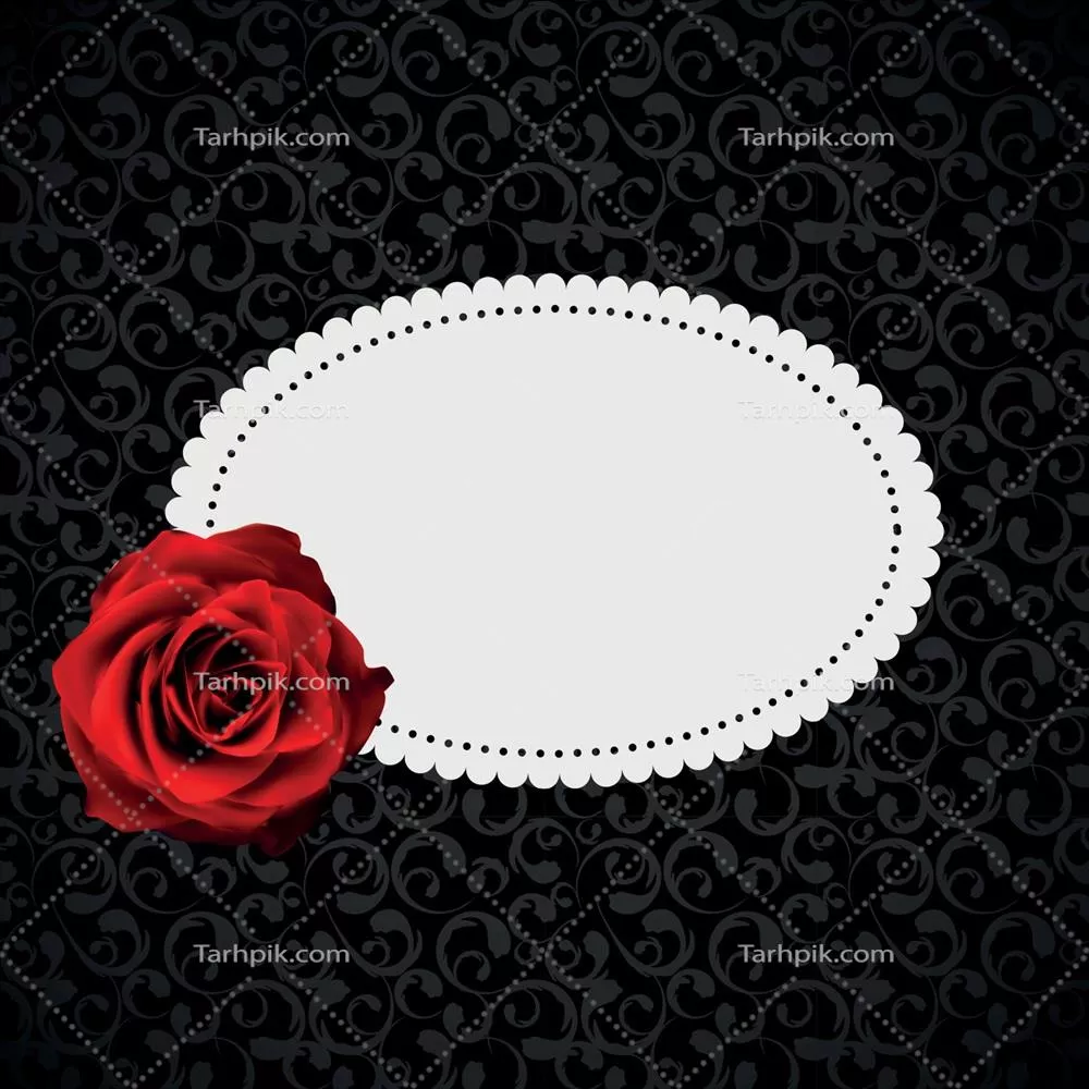 وکتور کارتهای گلدار زیبا با طراحی گلهای رز واقعگرایانه و جذاب