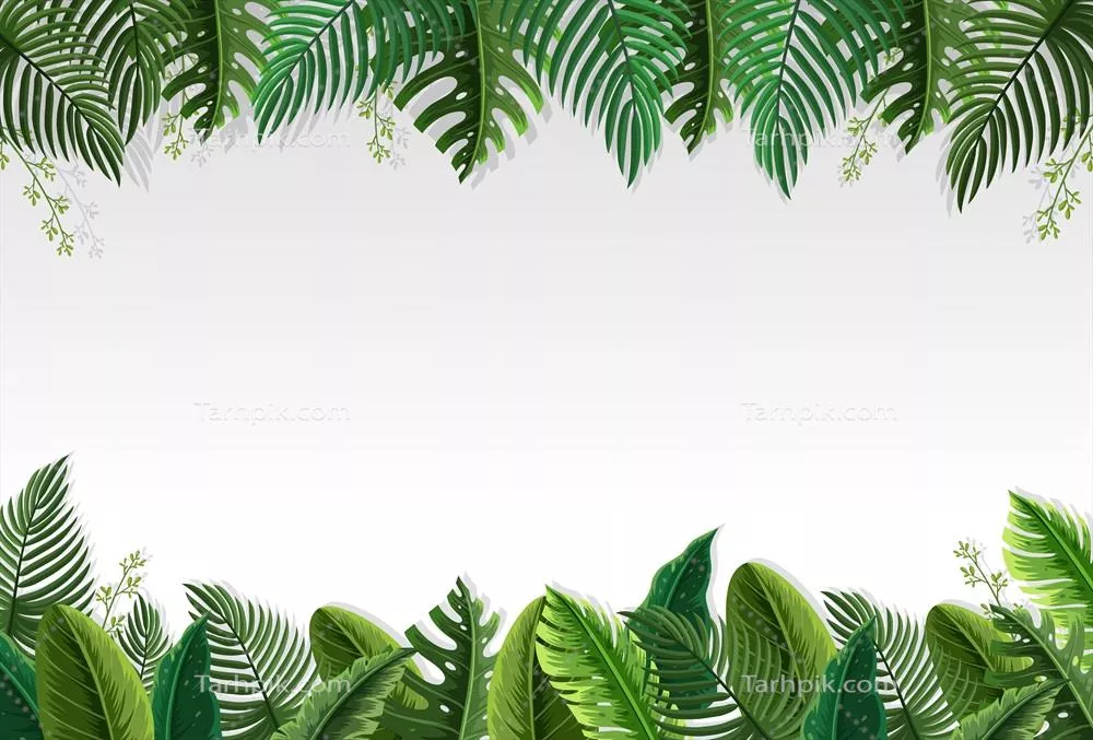 وکتور تصویر زیبا از حاشیه برگ نخل برای طراحی های هنری و گرافیکی