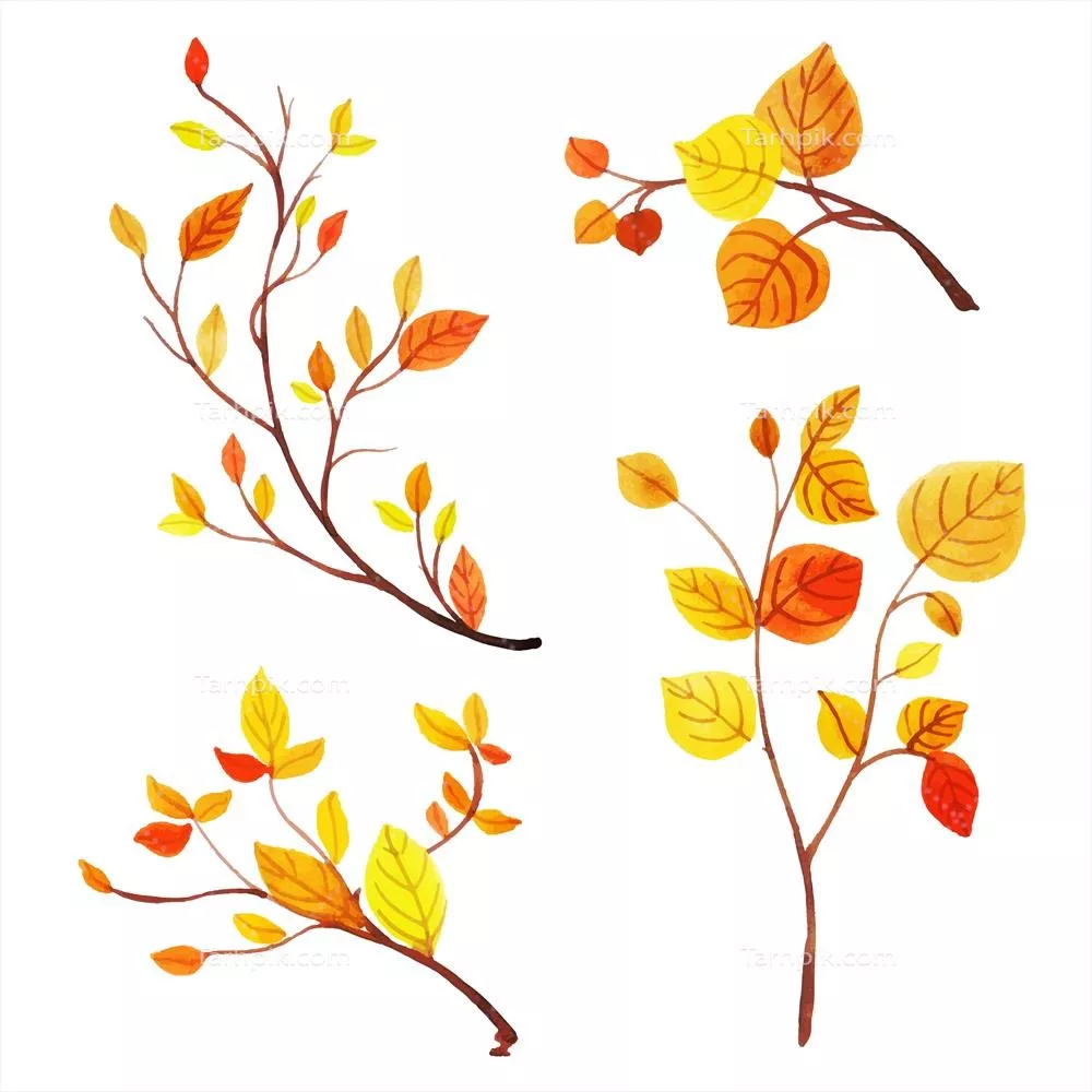 وکتور مجموعهای زیبا از برگهای پاییزی به سبک آبرنگ