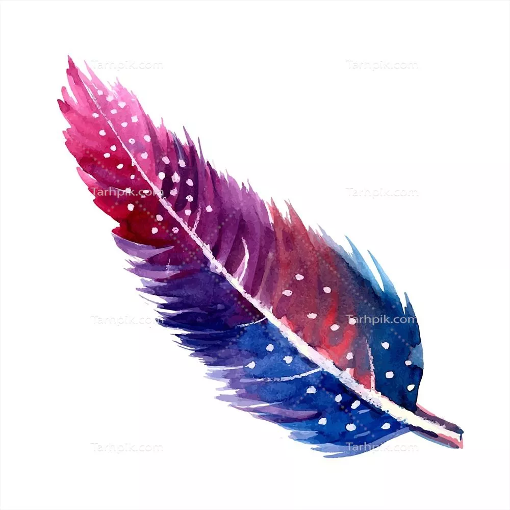 وکتور زیبا و جذاب: پرهای آبرنگی با رنگ های ملایم و دلنشین