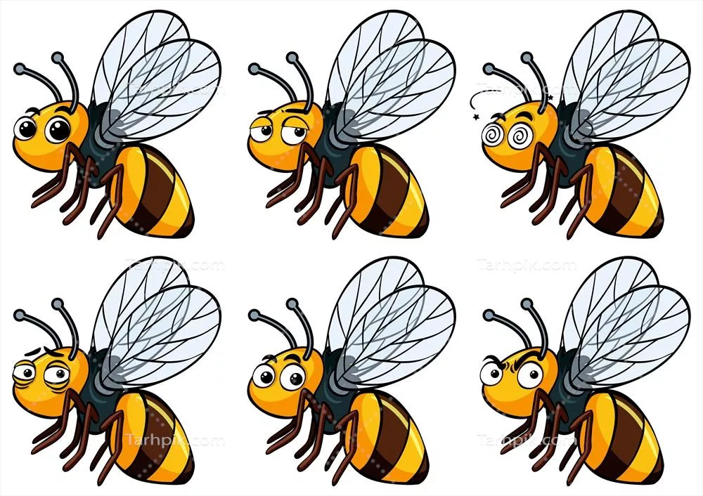 نقشه وکتور زنبور عسل با حالت‌های مختلف صورت و احساسات