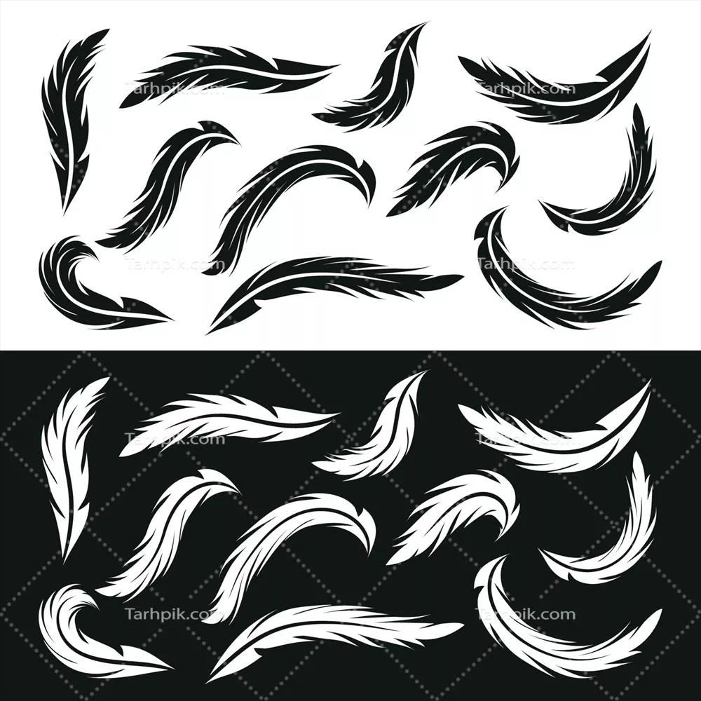 وکتور مجموعه آیکون های پرهای سیاه و سفید با طراحی مدرن و زیبا