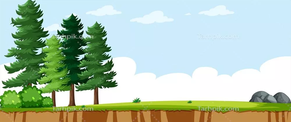 وکتور صحنه خالی از منظر در پارک طبیعی با برخی از درختان کاج