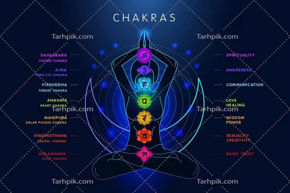 تصویر وکتوری از چاکراهای بدن و توضیحات مربوط به آنها