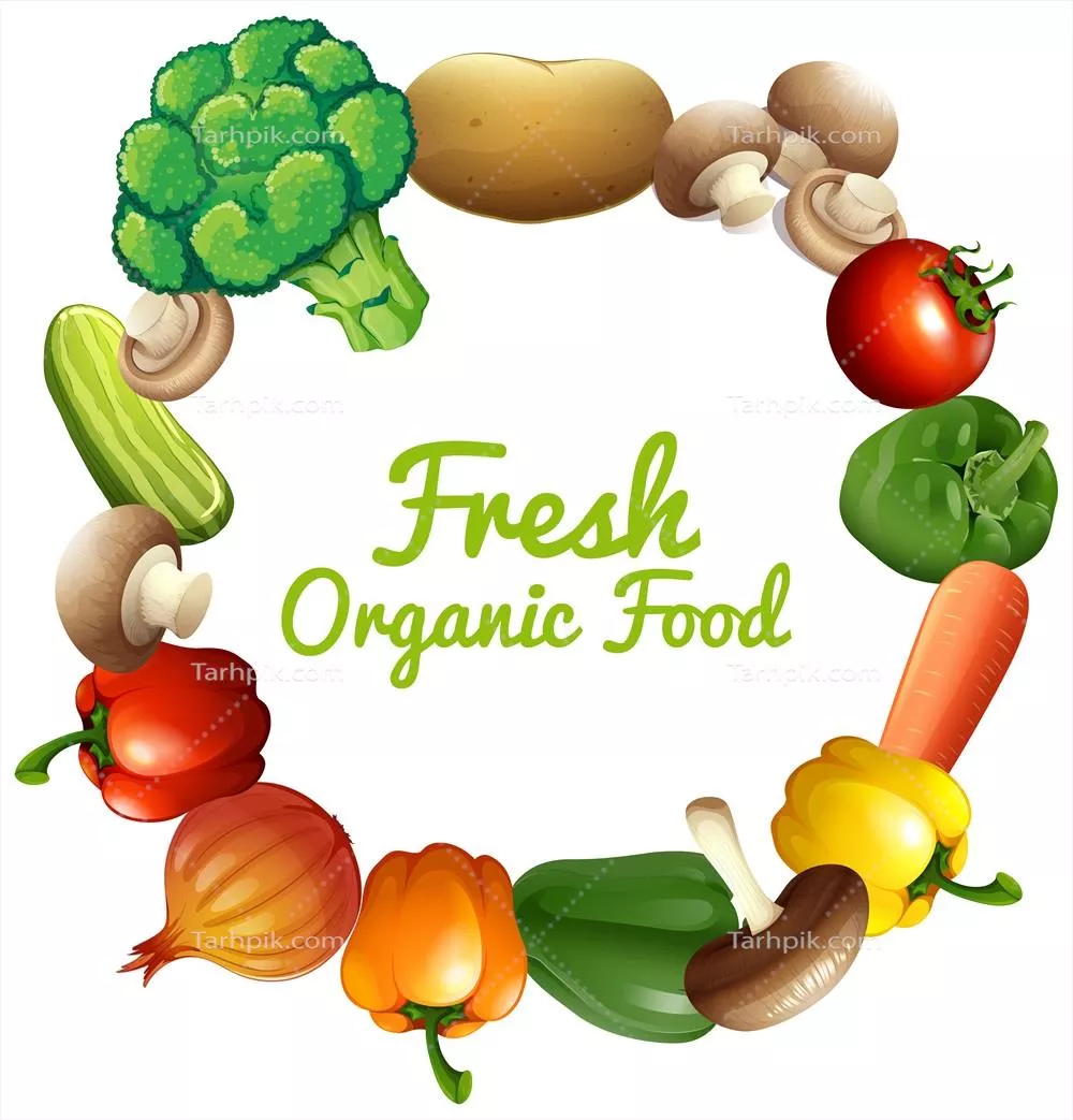 وکتور طرح حاشیه با تصویر سبزیجات تازه و شگفت‌انگیز