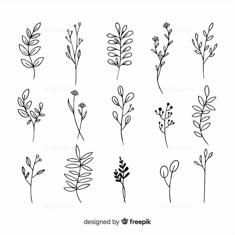 طرح وکتور تزئینی شاخه با برگ های زیبا و شگفت انگیز