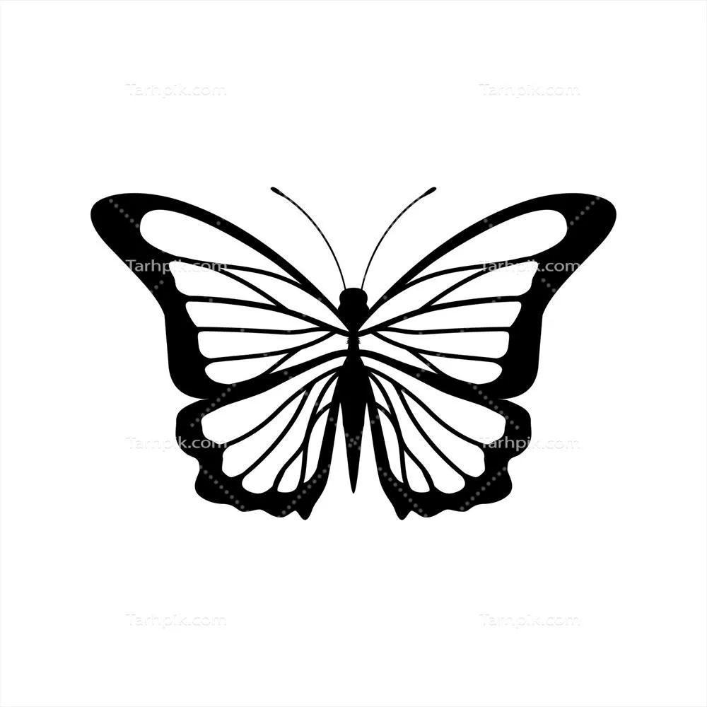 نمادهای پروانه: طراحی و تصویرسازی وکتور پروانه ها