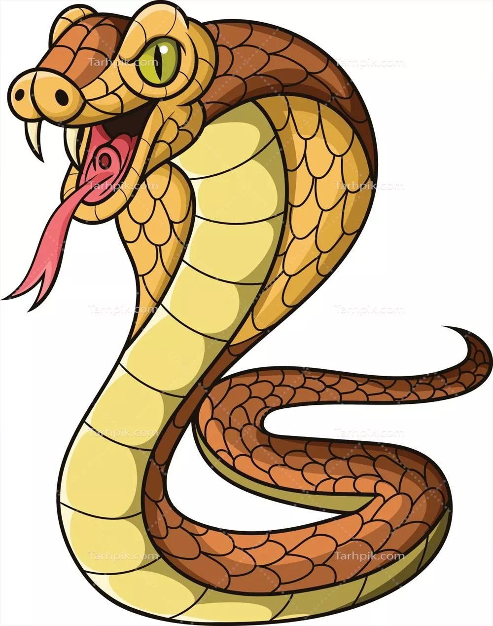 وکتور کاریکاتور مار کبری بر روی پس زمینه سفید با طراحی خلاقانه