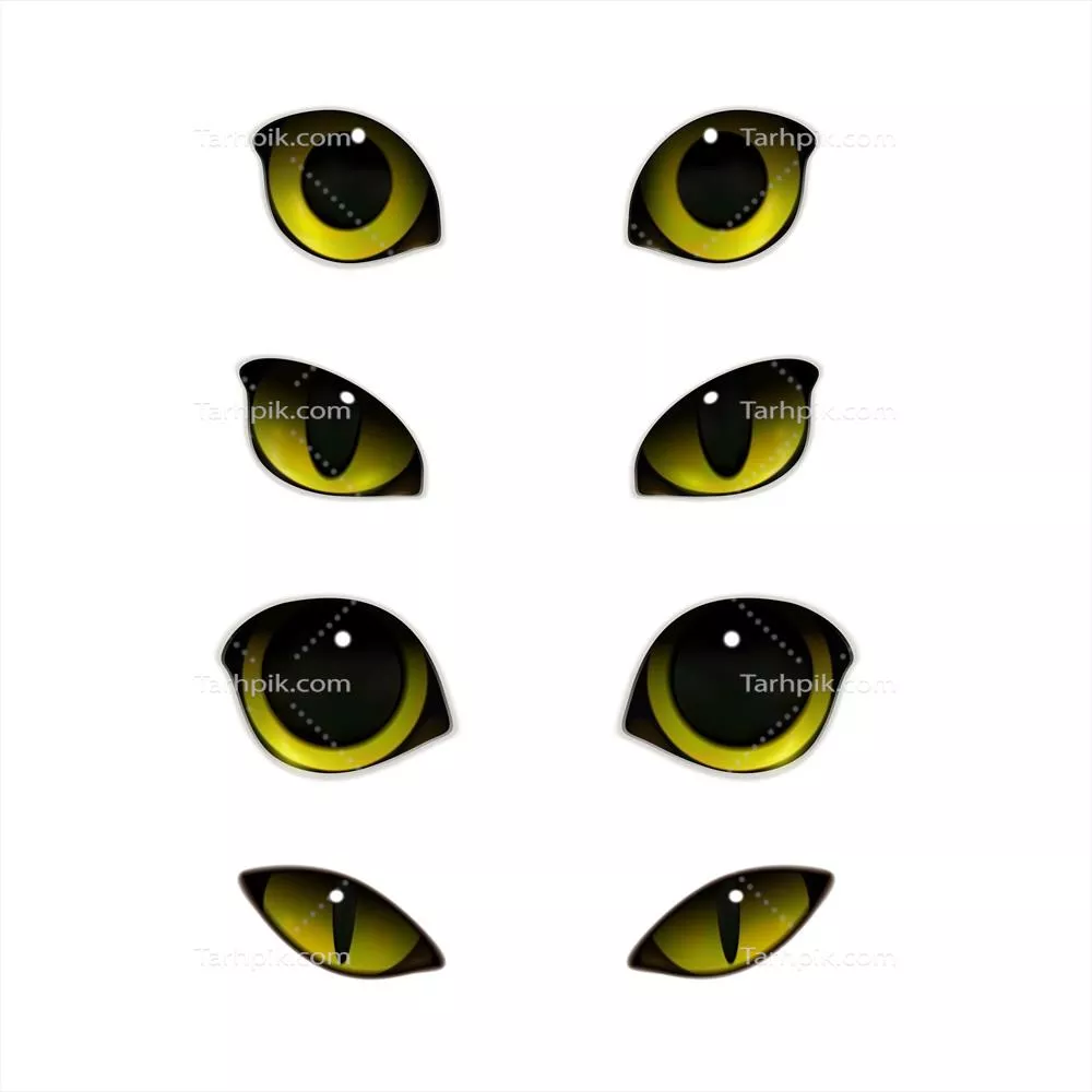 کتابخانه شگفتانگیز مجموعه وکتور چشمهای واقعی گربهها