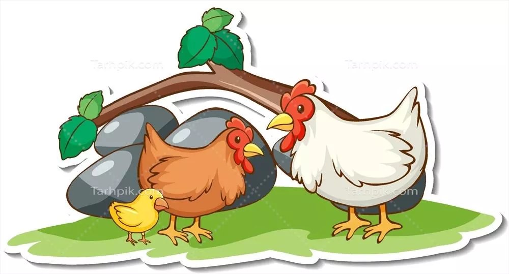 وکتور استیکر زیبای خانواده مرغ با عناصر طبیعی در آغوش طبیعت