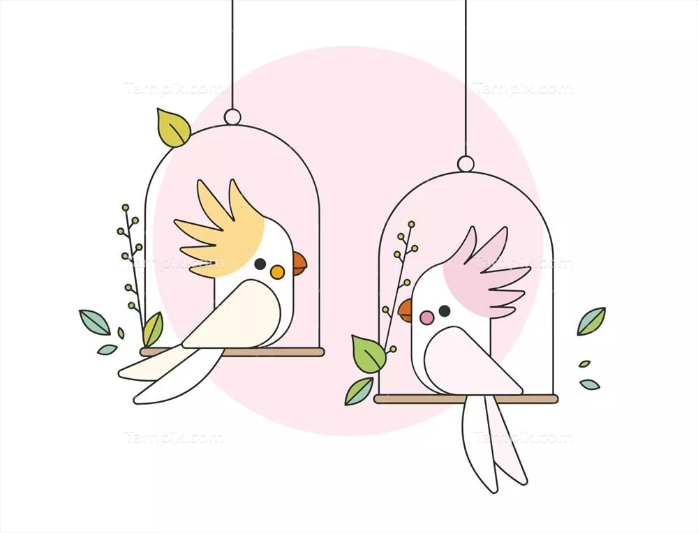 وکتور طوطی ککاتو برای دانلود، مناسب برای طراحی‌های گرافیکی و پوستری