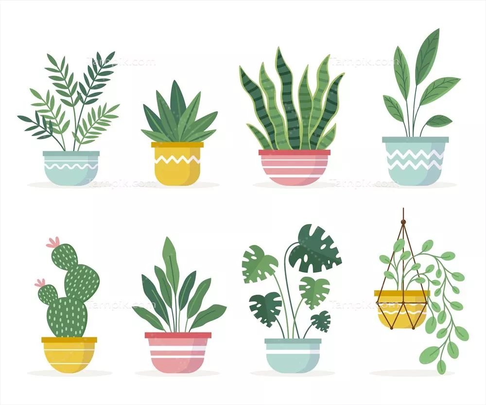 وکتور مجموعه‌ای از گیاهان آپارتمانی زیبا با گلدان‌های جذاب و مدرن
