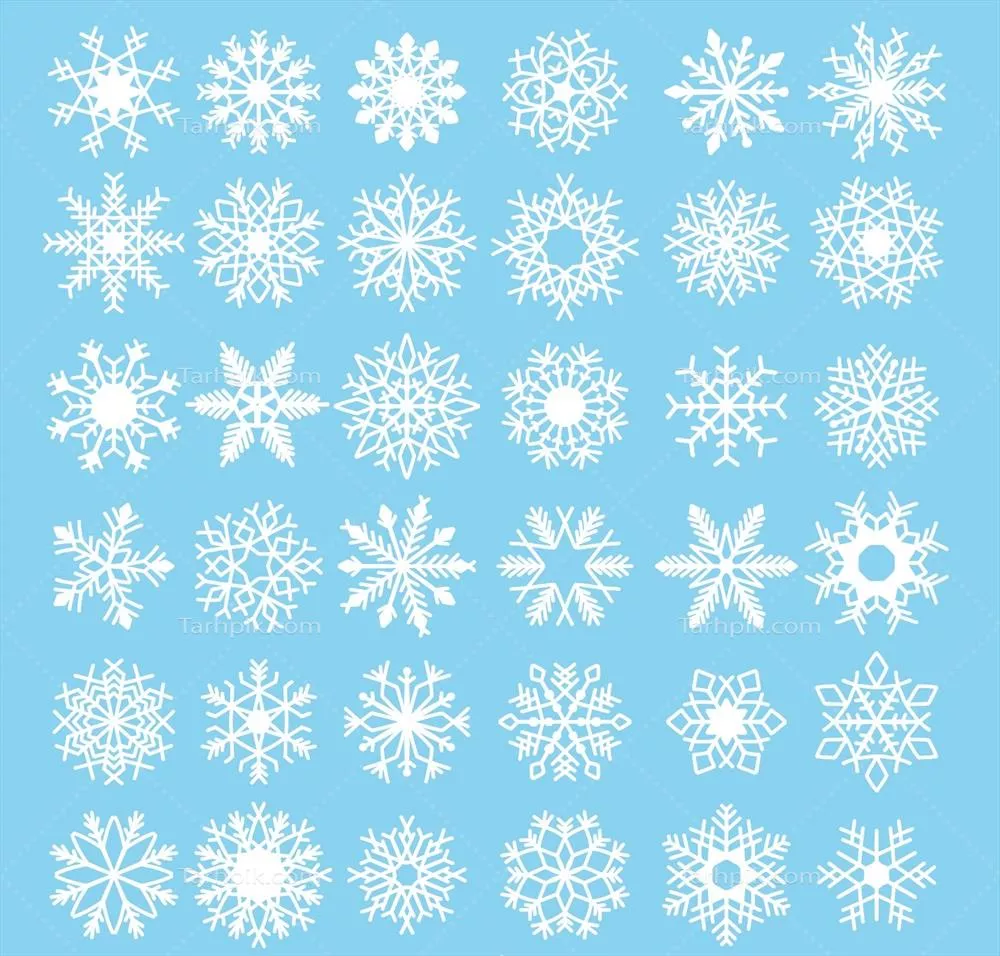 مجموعه وکتور دانههای برفی تزئینی و زیبا برای طراحیهای خلاقانه