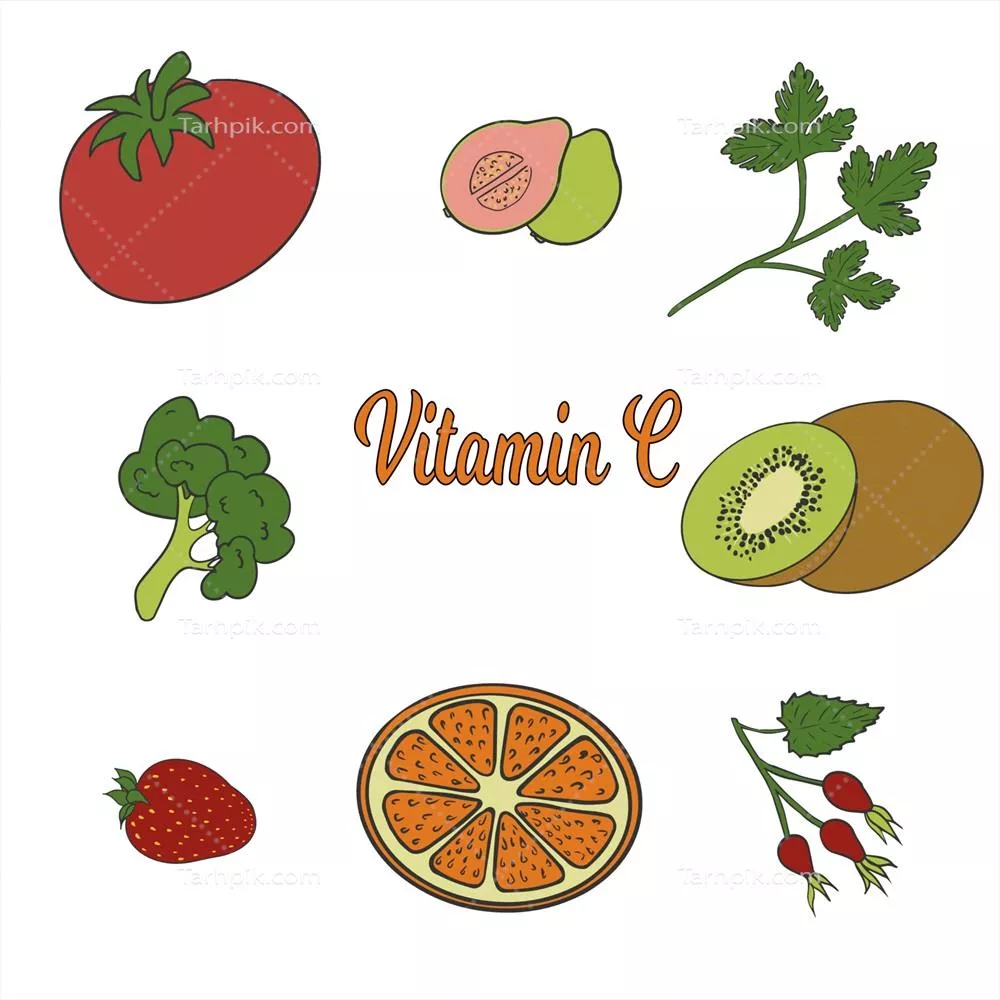 وکتور مجموعه ای جامع از منابع ویتامین C شامل میوه ها و سبزیجات متنوع