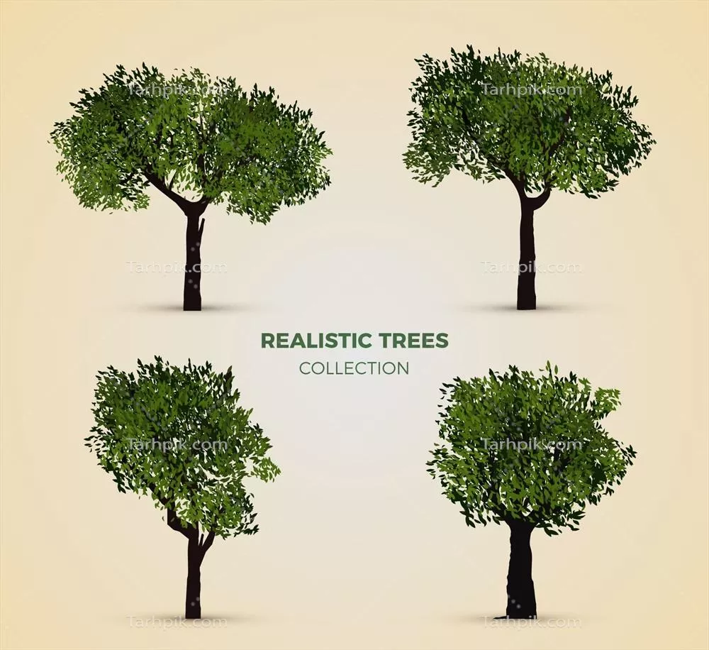 مجموعه ای از درختان واقع گرایانه به صورت وکتور برای طراحی