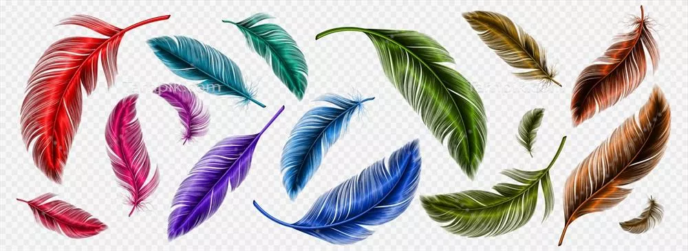 وکتور پرهای نرم و رنگی پرندگان: ویژگیها و جاذبههای آنها