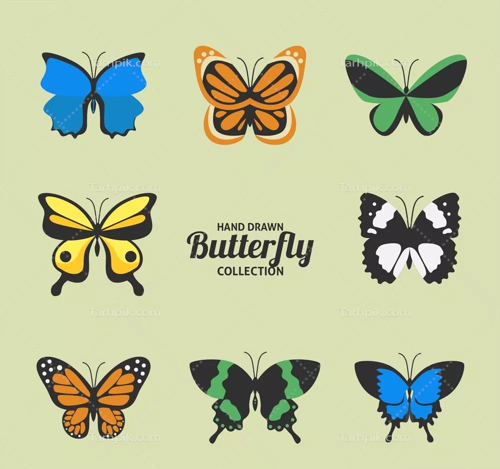 مجموعه وکتوری پروانه‌های رنگارنگ و زیبای طراحی شده