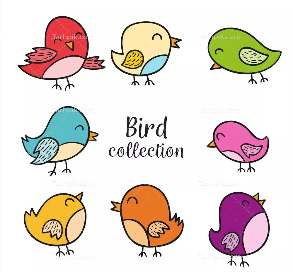 مجموعهای از پرندگان رنگارنگ طراحی دستی به صورت وکتور