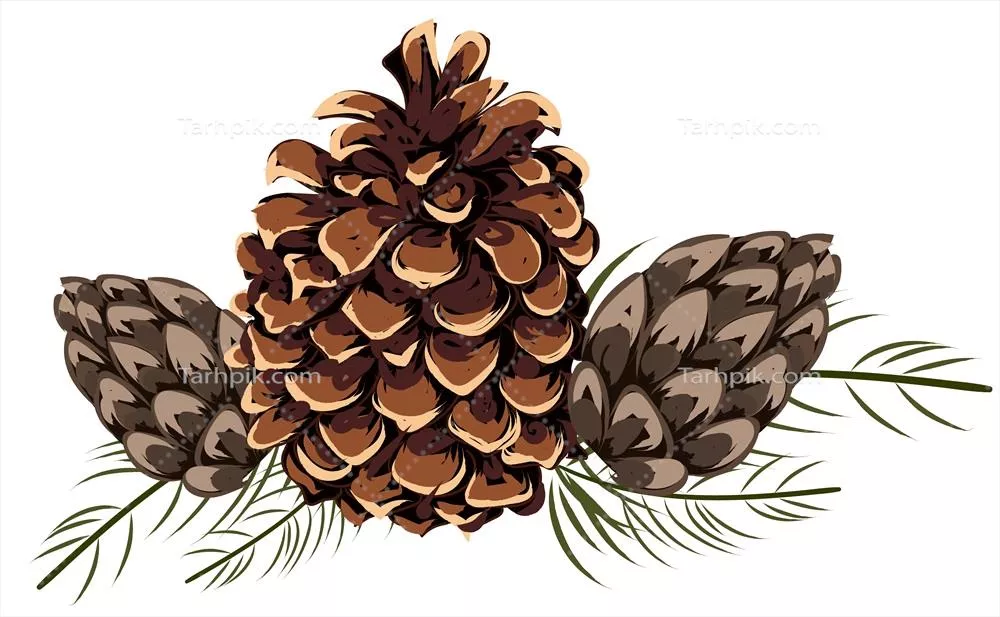 ترکیب طرح وکتور از مخروط های کاج و برگ های خاردار در تم پاییزی